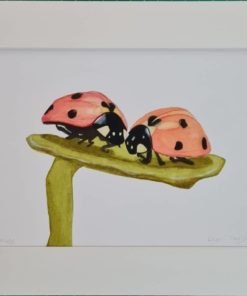 Ladybird Limited Edition Print