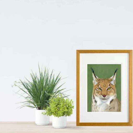 Lynx giclee print by Alan Taylor Art