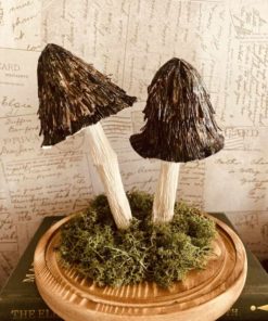 Model Mushrooms in a dome