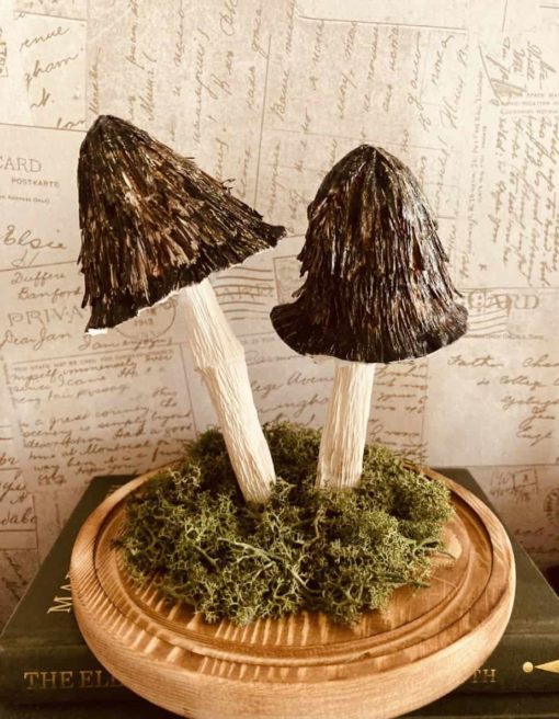 Model Mushrooms in a dome
