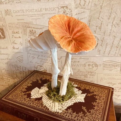 Orange flat topped paper mushrooms