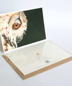 Owl greeting card by Alan Taylor Art