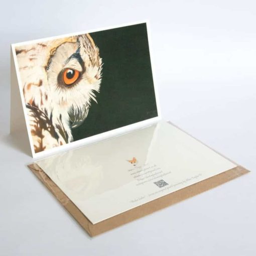 Owl greeting card by Alan Taylor Art