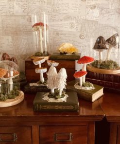 Paper Mushroom Collection