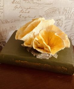 Paper Oyster mushrooms in a vintage book