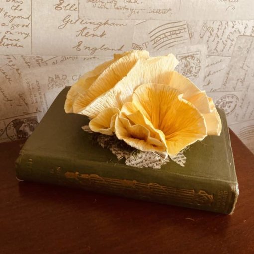 Paper Oyster mushrooms in a vintage book