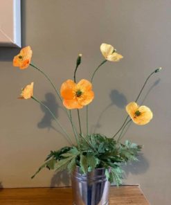 Paper Welsh Poppies