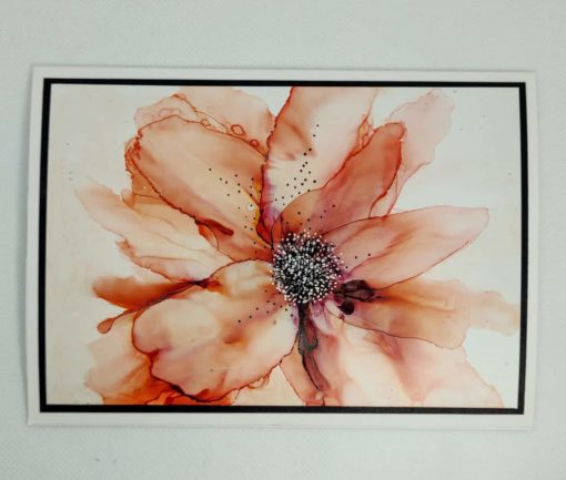 Peach Flower Print
