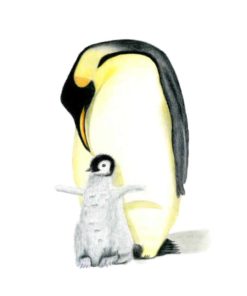 Penguin giclee print by Alan Taylor Art