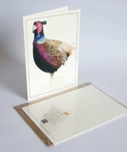 Pheasant greeting card by Alan Taylor Art