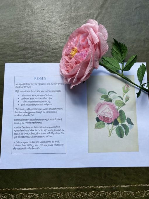 Pink Paper Rose Gift