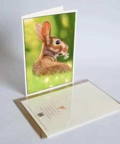 Rabbit greeting card by Alan Taylor Art