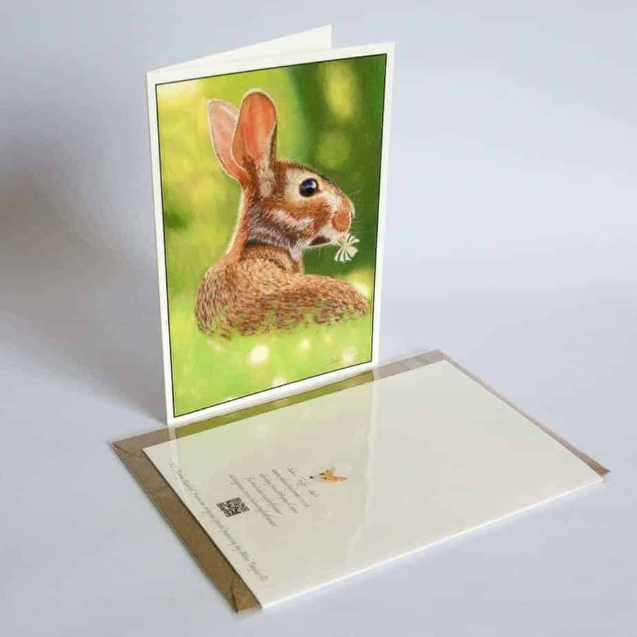 Rabbit greeting card by Alan Taylor Art