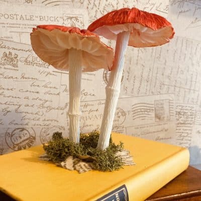 Red Flat Paper Mushrooms