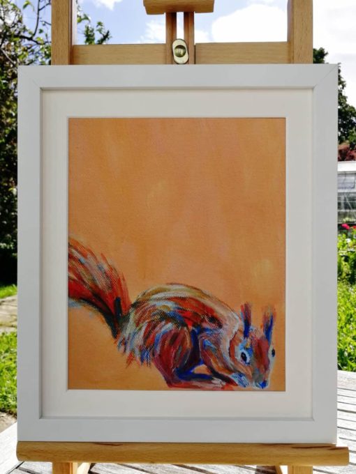 Red squirrel art print in mount and frame