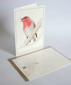 Robin greeting card by Alan Taylor Art