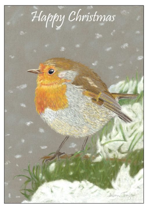 Robin Redbreast christmas cards by Alan Taylor Art