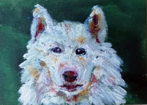 Samoyed dog original ACEO painting