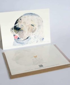 Seal greeting card by Alan Taylor Art