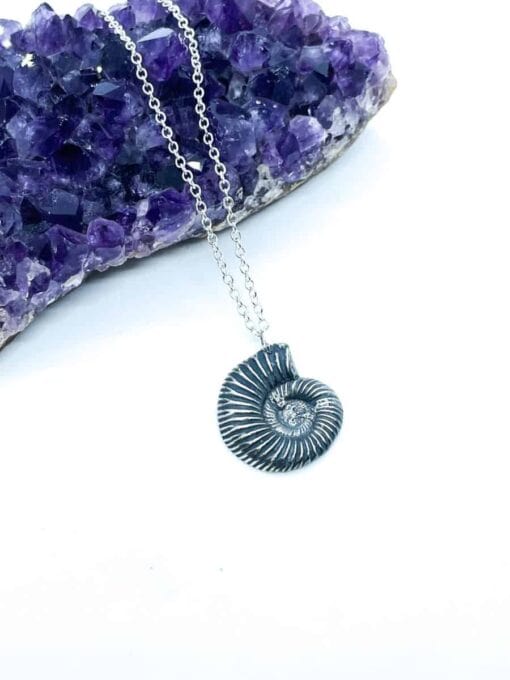 Silver ammonite necklace