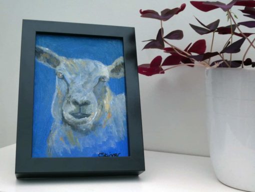 Small framed sheep painting in acrylic