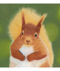 Squirrel Limited Edition Print