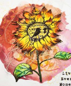 Sunflower Close up