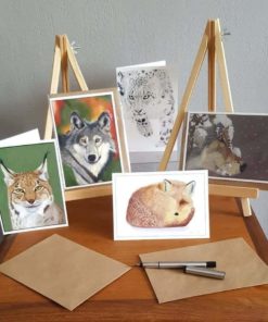 Wildlife collection of greeting cards by Alan Taylor Art