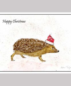 Hedgehog Christmas cards by Alan Taylor Art