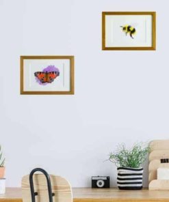 Limited Edition Print Collection Bee and butterfly giclee print collection by Alan Taylor Art