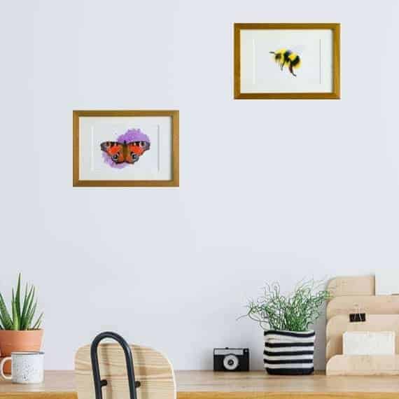 Limited Edition Print Collection Bee and butterfly giclee print collection by Alan Taylor Art