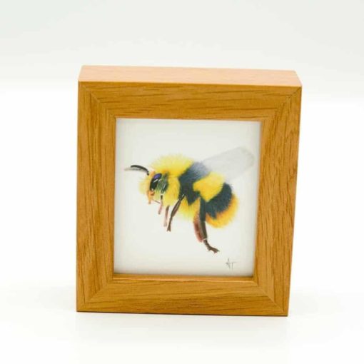 Bee miniature box framed art by Alan Taylor Art