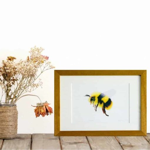 Bee giclee print by Alan Taylor Art