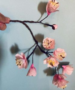 blossom 2