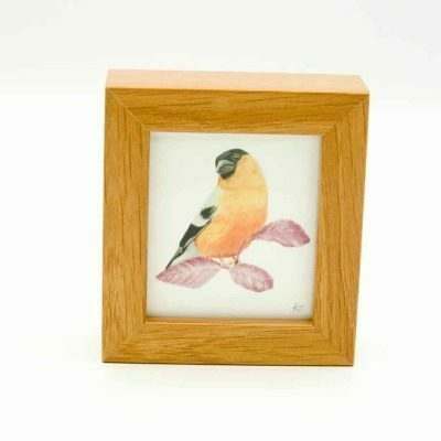 Bullfinch miniature box framed art by Alan Taylor Art