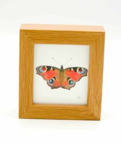 Butterfly miniature box framed art by Alan Taylor Art