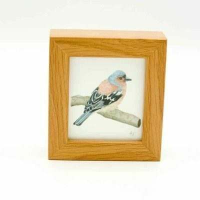 Chaffinch miniature box framed art by Alan Taylor Art
