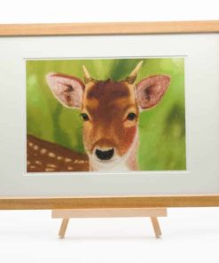 Deer giclee print by Alan Taylor Art