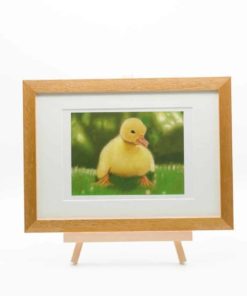 Duckling giclee print by Alan Taylor Art