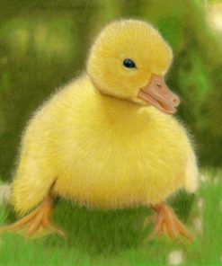 Duckling Limited Edition Print