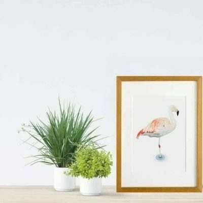 Flamingo giclee print by Alan Taylor Art