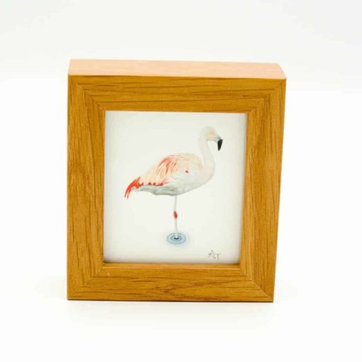 Flamingo miniature box framed art by Alan Taylor Art