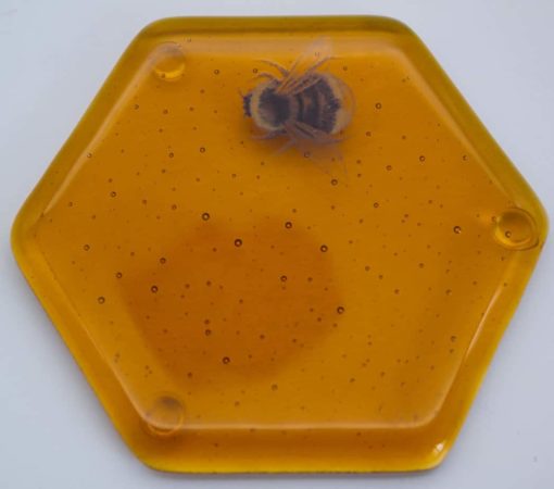 Fused Glass Bee Coaster