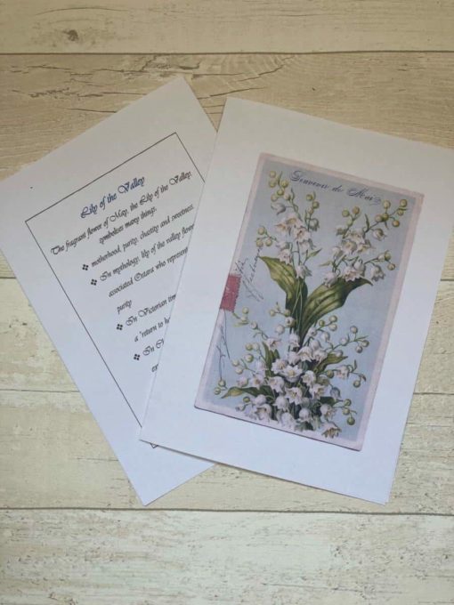lily of the valley instructions