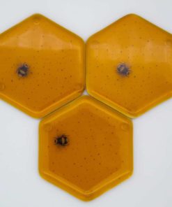 fused glass bee coasters
