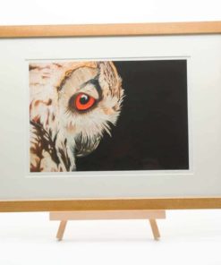 oak framed print eagle owl alan taylor art