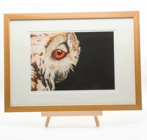 oak framed print eagle owl alan taylor art