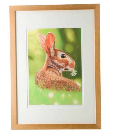 Rabbit giclee print by Alan Taylor Art