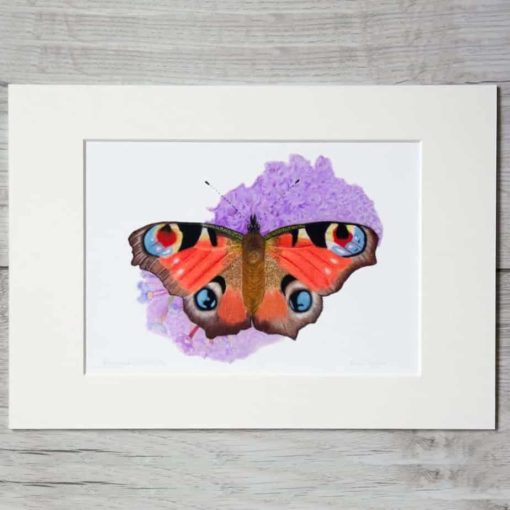 Butterfly giclee print by Alan Taylor Art
