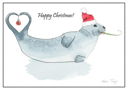 Seal christmas fine art greeting card